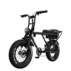 Vélo électrique Garrett Miller X biplace cargo (VERSION 2026)