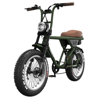 Vélo électrique Garrett Miller Z biplace cargo (Version 2026)