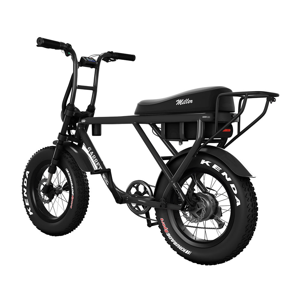 Velo 3 places electrique on sale